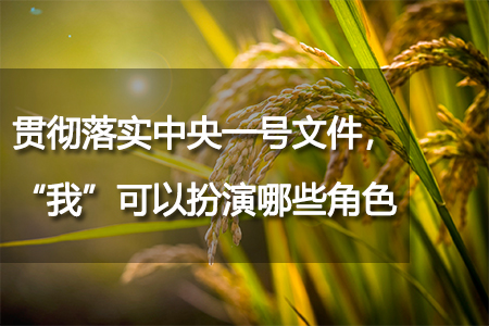 貫徹落實(shí)中央一號(hào)文件，“我”可以扮演哪些角色？